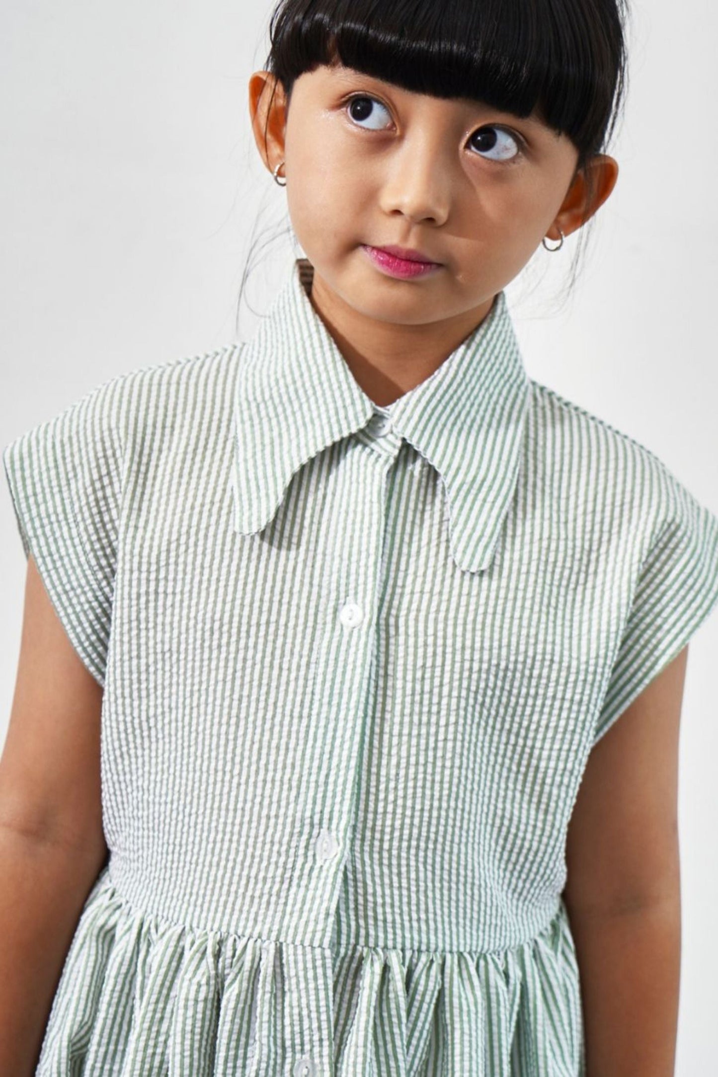 Petite Kelly Dress - Sage Stripes